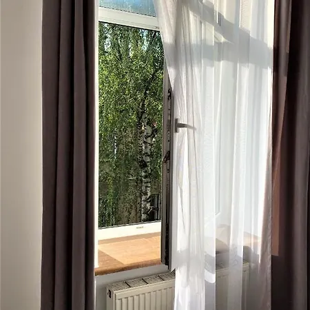 Wonderful Near The Old *