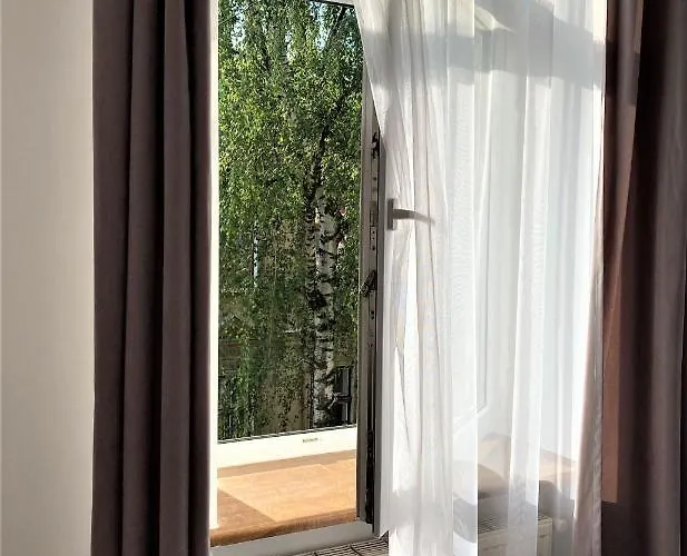 Wonderful Near The Old *